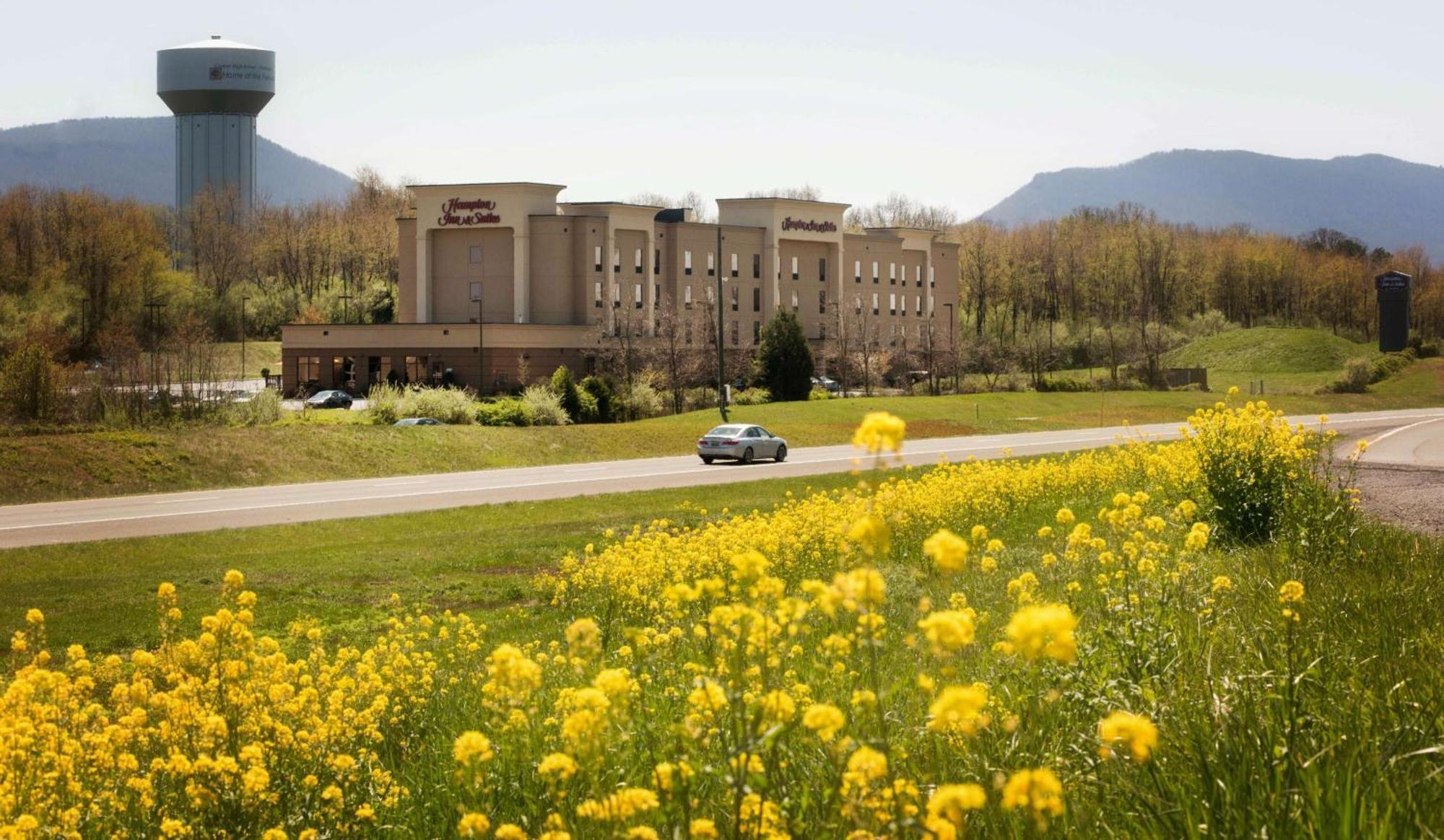 Hampton Inn And Suites Woodstock, Virginia Ngoại thất bức ảnh